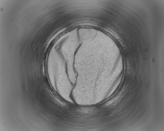 X0000061140782200512161529