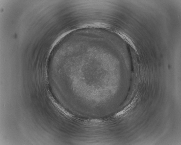 X0000061140784200512161529