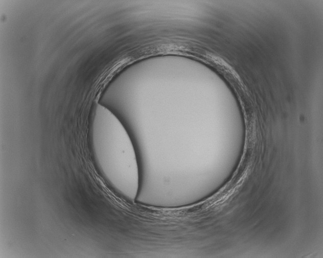 X0000061140785200512161529