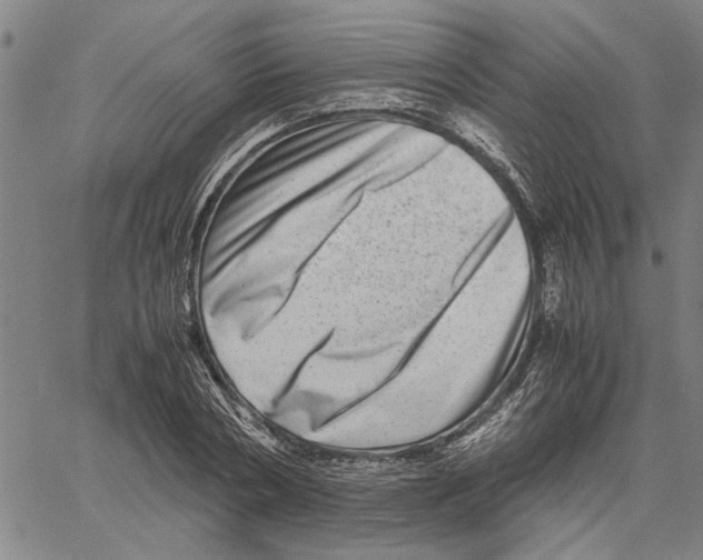 X0000061140786200512161529