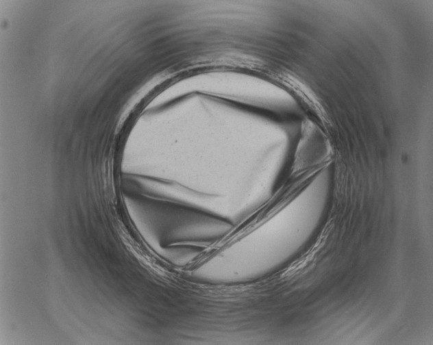 X0000061140788200512161529