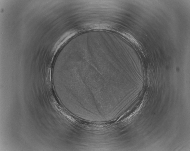 X0000061140790200512161529