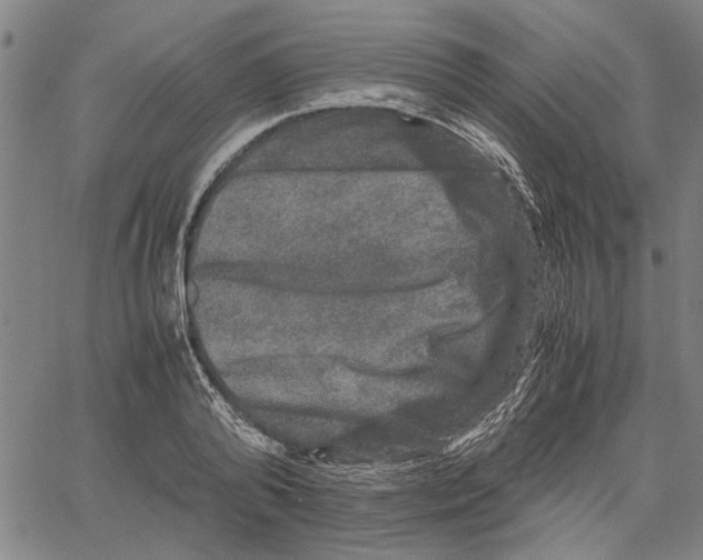 X0000061140792200512161529