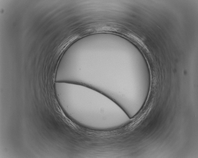 X0000061140793200512161529