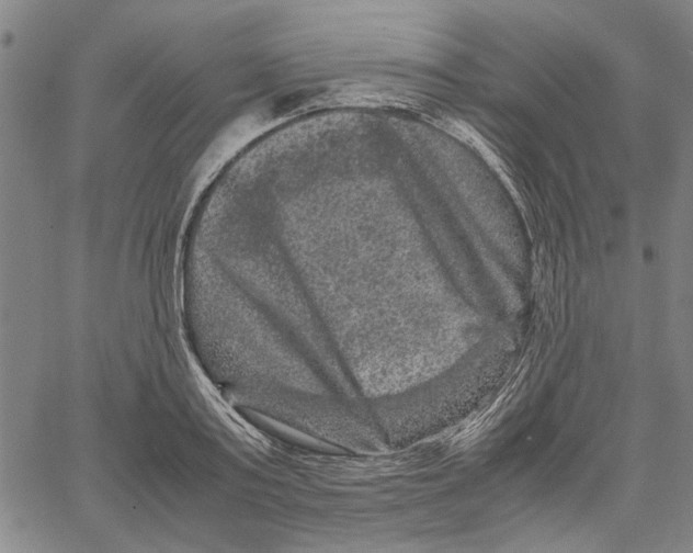 X0000061140795200512161529