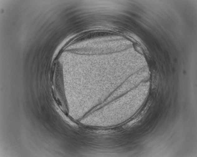 X0000061140796200512161529