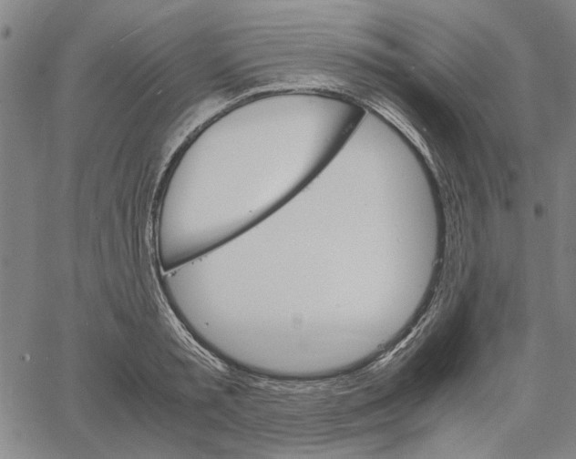 X0000061140797200512161529