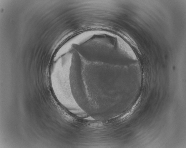 X0000061140798200512161529