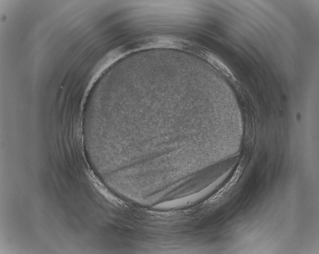 X0000061140800200512161529