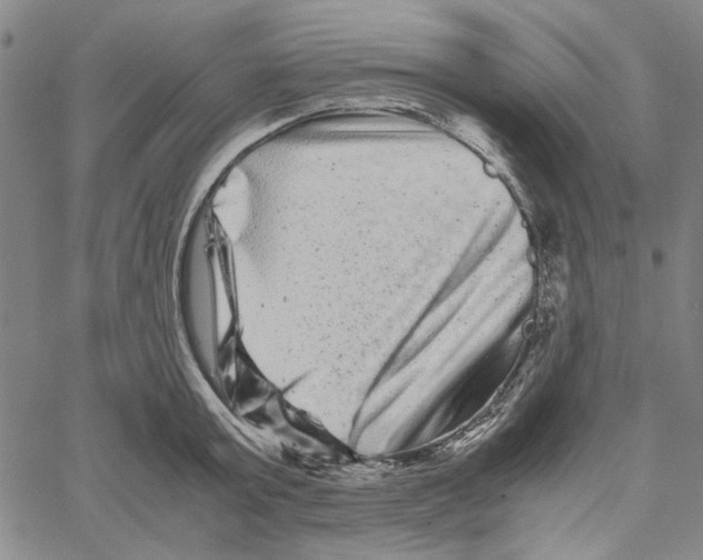 X0000061140803200512161529