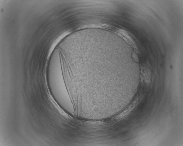 X0000061140804200512161529