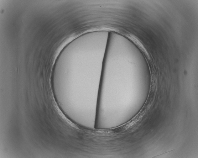 X0000061140805200512161528