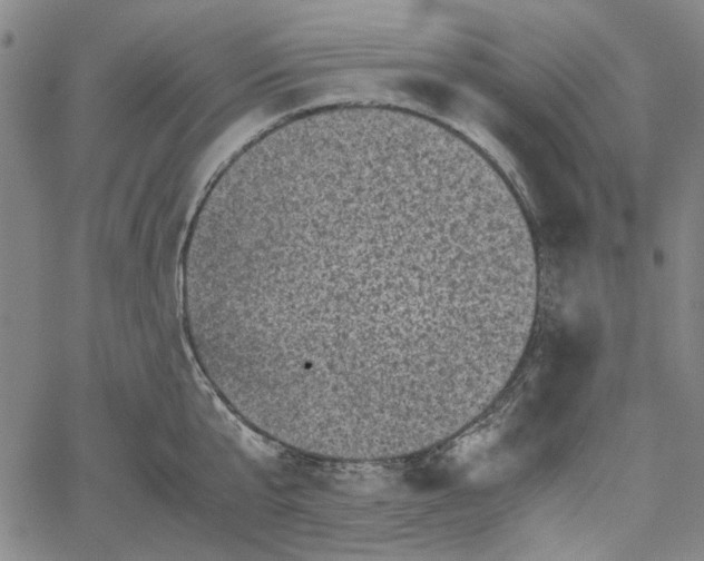 X0000061140807200512161528