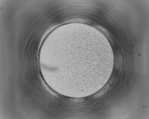 X0000061140808200512161528