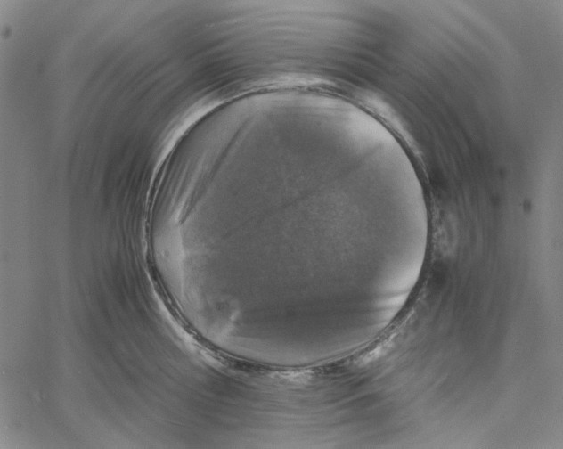 X0000061140810200512161528