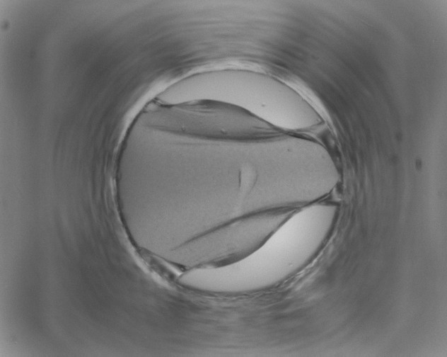 X0000061140813200512161528