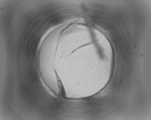 X0000061140816200512161528