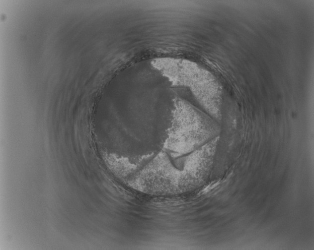 X0000061140817200512161528