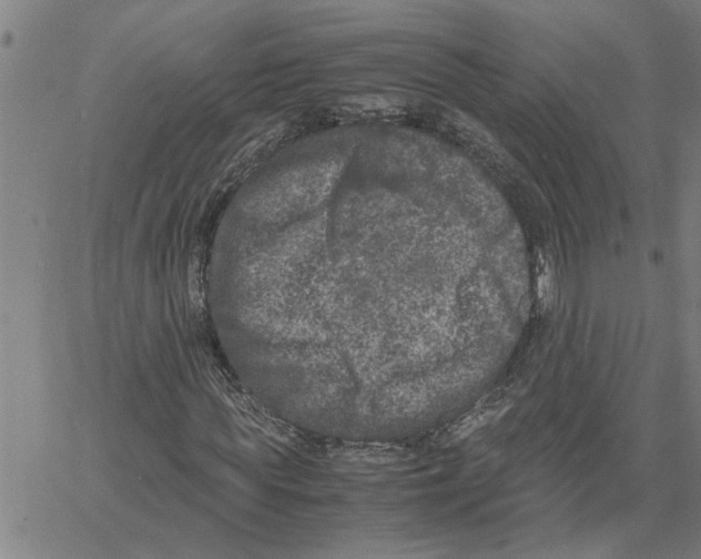 X0000061140819200512161528