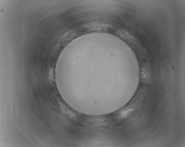 X0000061140820200512161528