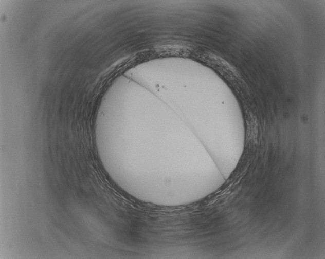 X0000061140821200512161528