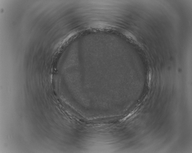 X0000061140822200512161528