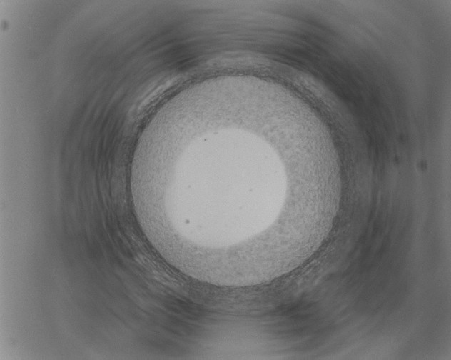 X0000061140824200512161528