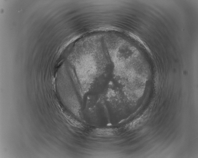 X0000061140825200512161528