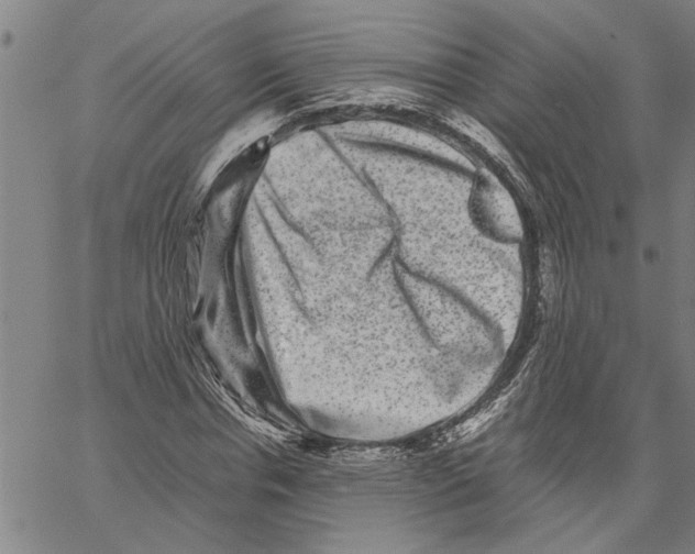 X0000061140826200512161528