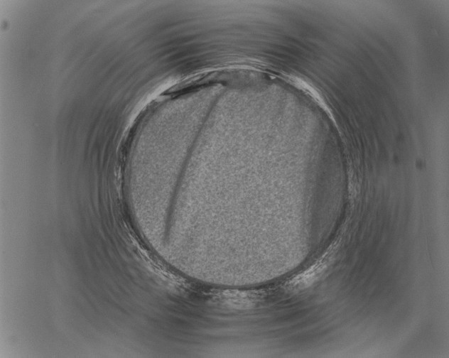 X0000061140827200512161528