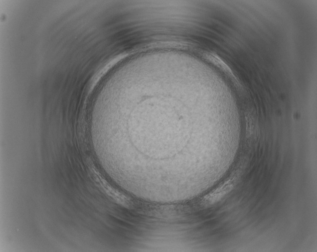 X0000061140828200512161528