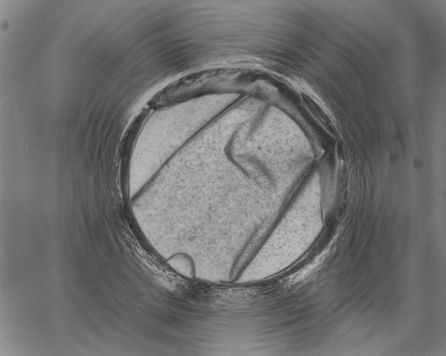 X0000061140830200512161528