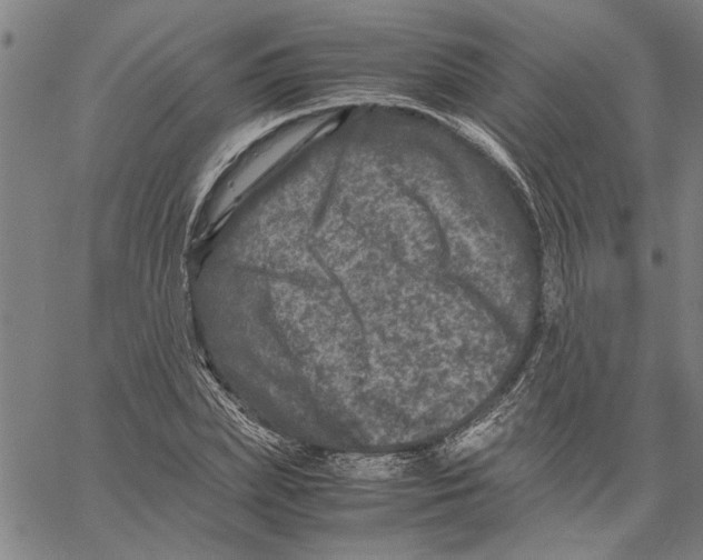 X0000061140831200512161528