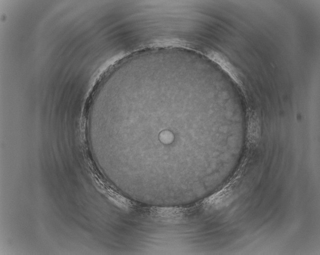 X0000061140832200512161528