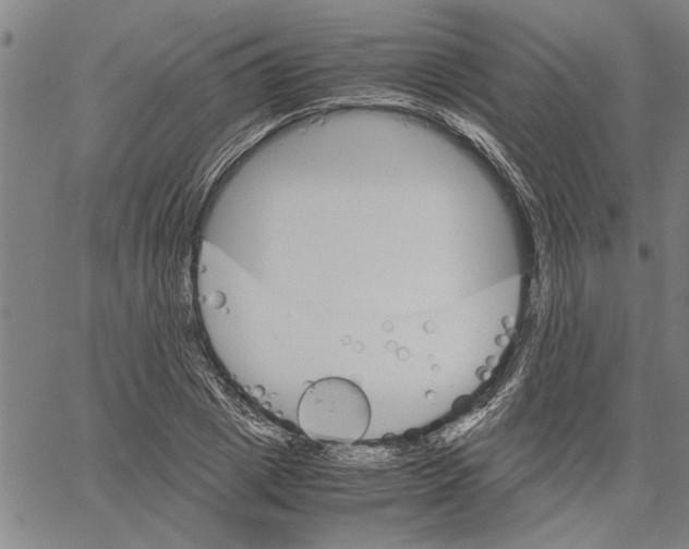 X0000061140833200512161528