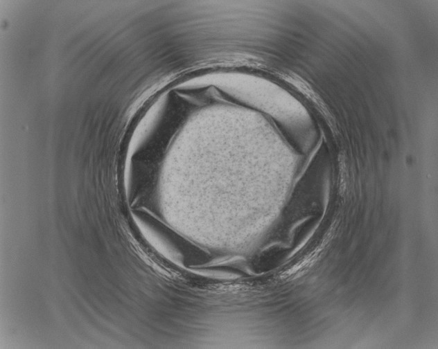 X0000061140834200512161528