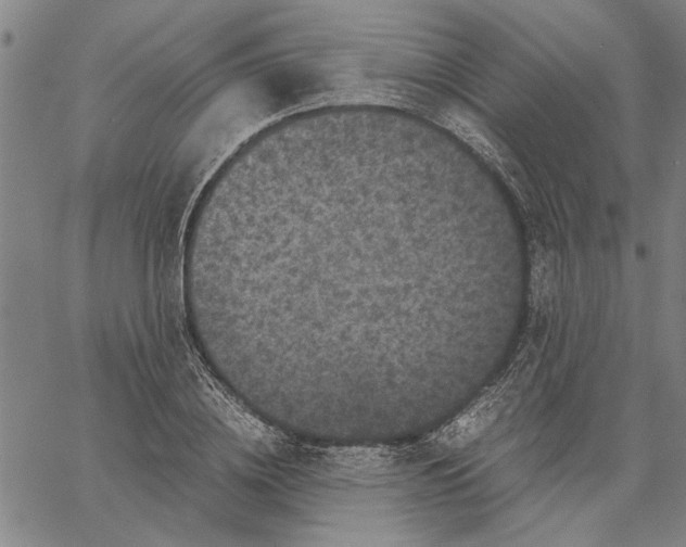 X0000061140836200512161528