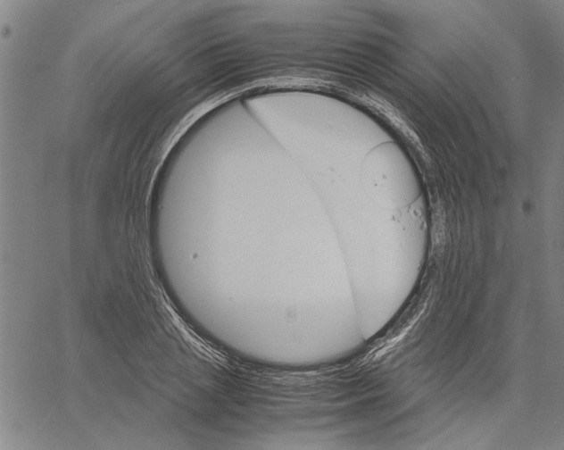 X0000061140837200512161528