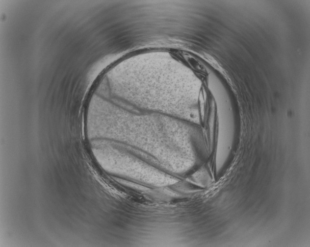 X0000061140838200512161528