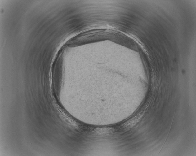 X0000061140840200512161528