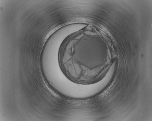 X0000061140842200512161528