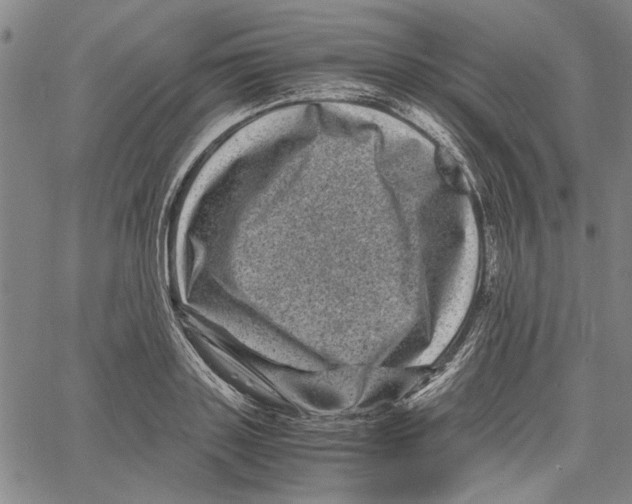 X0000061140843200512161528