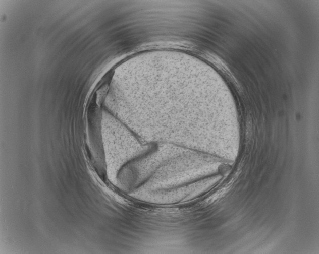 X0000061140844200512161528