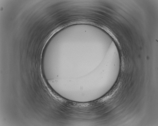 X0000061140845200512161528