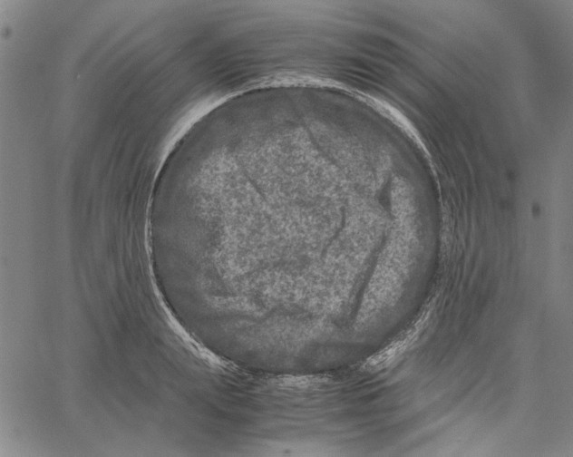 X0000061140847200512161528