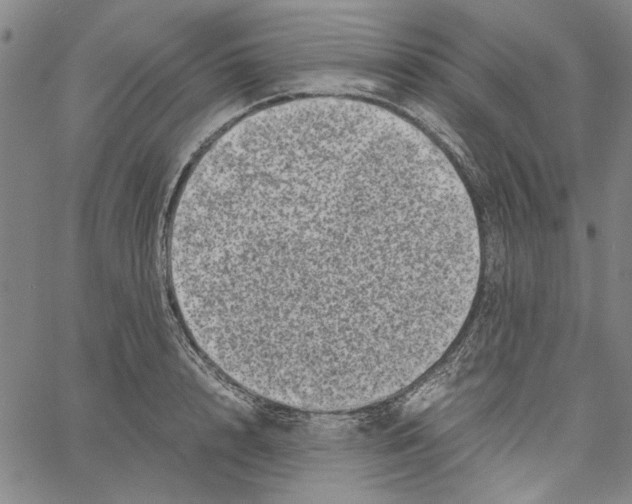 X0000061140848200512161528