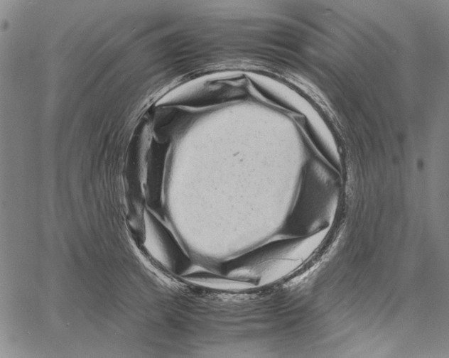 X0000061140849200512161528