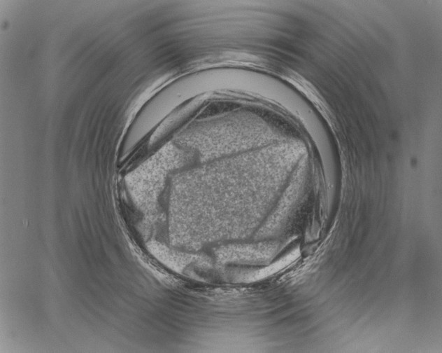 X0000061140850200512161528