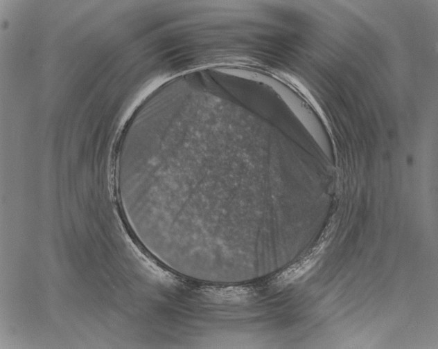 X0000061140851200512161528