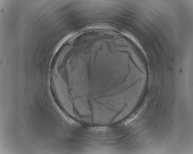 X0000061140853200512161528